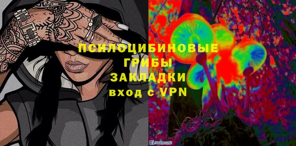 молекула духа Алзамай