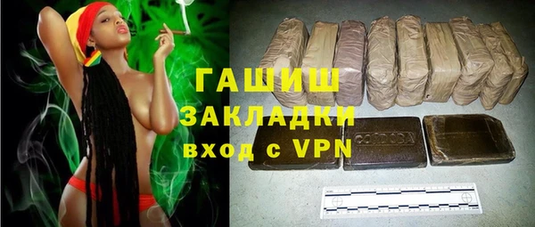 шишки Ельня